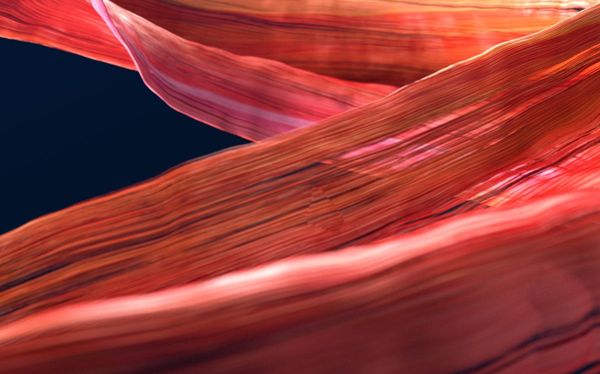 Design portfolio inspiration of June 2019